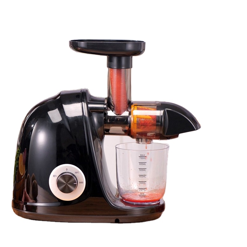 Kitchen Appliances Quality - 2026-Zwarte Horizontale Slow Juicer Hoge Kwaliteit