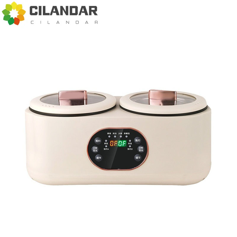 Dubbele galblaas elektrische r - Kitchen Appliances For Sale recensie en prijs